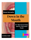 Down in the Mouth-For Microtonal Flute and Pre-Recorded Track