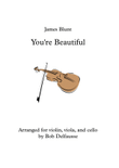 You're Beautiful