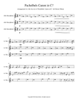 Pachelbels Canon for Alto Sax Trio