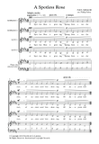 A Spotless Rose (arr. Phillip Faber)