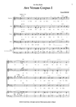 Ave verum corpus I