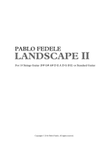Landscape II (2016)