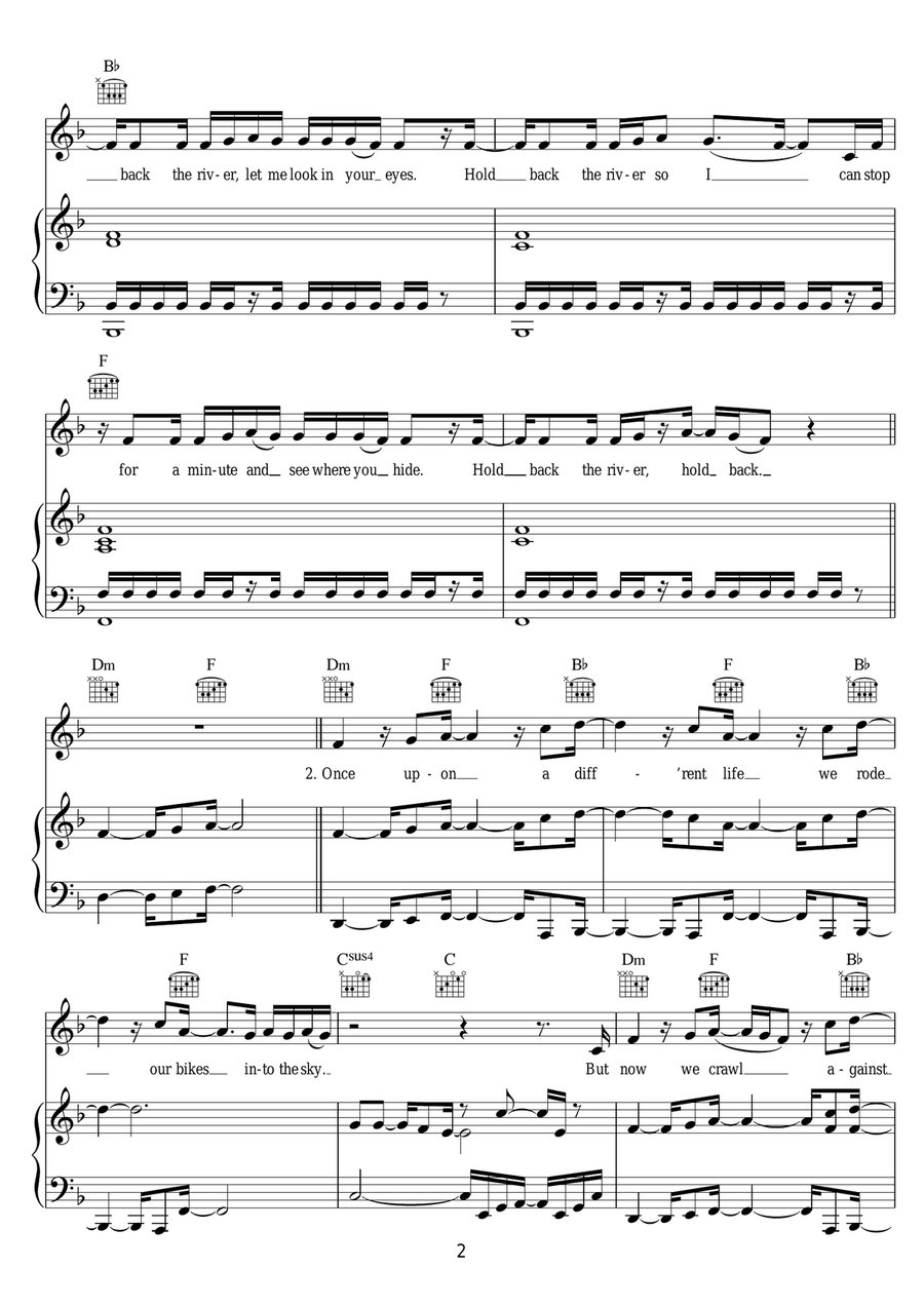 Hold Back The River Hold Back The River Piano, Vocal, Guitar scores gallery preview page 2