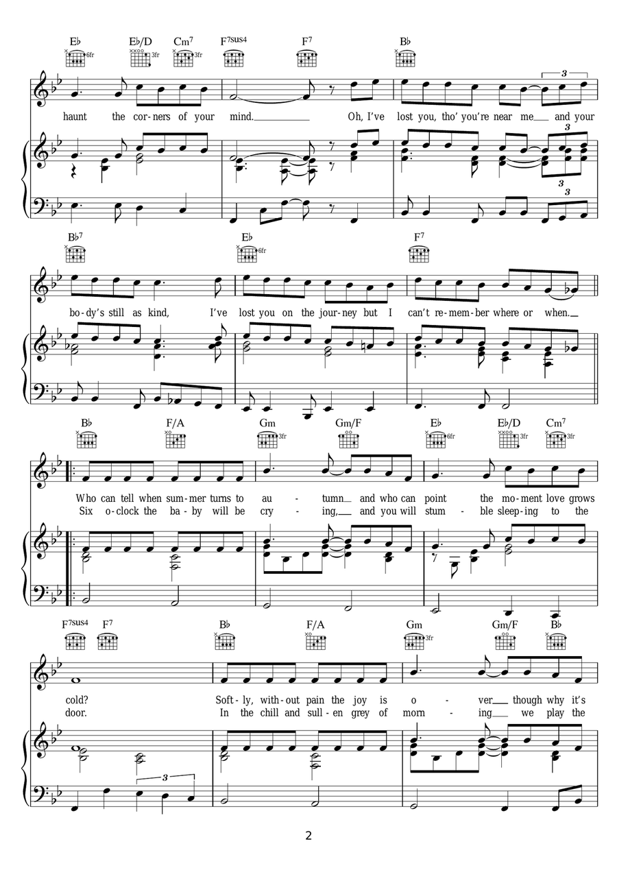 I've Lost You I've Lost You Piano, Vocal, Guitar scores gallery preview page 2