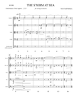 The Storm at Sea (string orchestra piece)