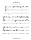 Voluntary 15
