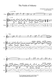 The Fields of Athenry Fingerstyle Guitar & Flute