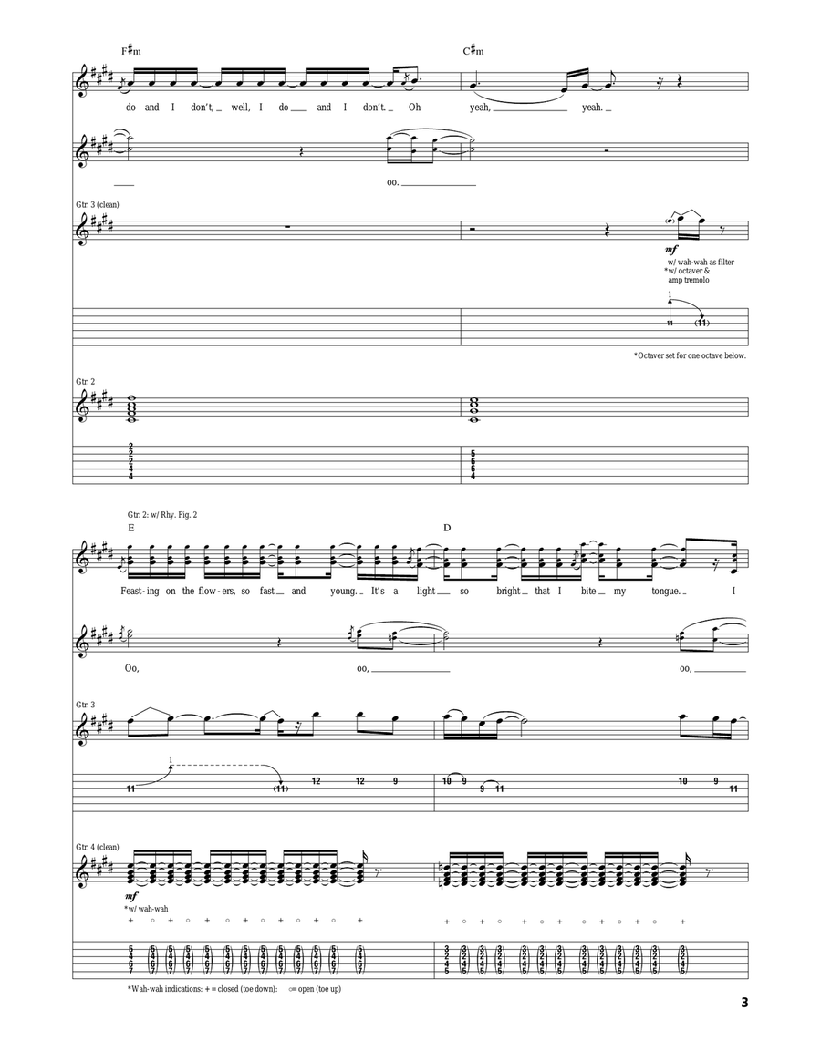 Feasting On The Flowers Feasting On The Flowers Acoustic Guitar scores gallery preview page 3