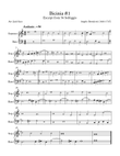Bertalotti #1 ST, SB, and or C instrument.