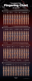 Flute Fingering Chart - Large - 14 X 36