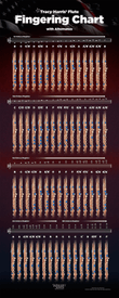 Flute Fingering Chart - Small - 9 X 20