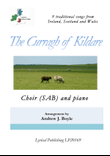 The Curragh of Kildare