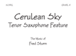 Cerulean Sky