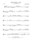 Speak Softly, Love (Love Theme)