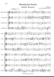 Variations on Morning has broken (Bunessan) for recorder quartet mini preview