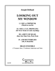 Looking Out My Window