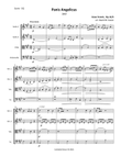 Panis angelicus Op.12, No.5 (Franck) STRING QUARTET