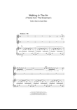 Walking In The Air (theme from The Snowman)