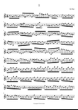 BachSpirit 1