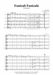 Funiculi Funicula - Italian Evergreen - Flute Quintet