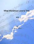 What Wondrous Love Is This