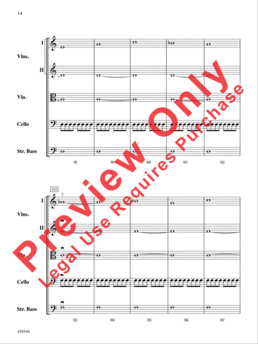Allegro for Hydroponic Systems String Orchestra scores gallery preview page 15