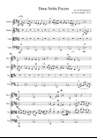 Dona Nobis Pacem, for String Quartet