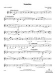 Sonatina: 1st B-flat Clarinet mini preview
