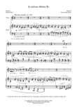 A curious thirsty fly (for tenor and piano)