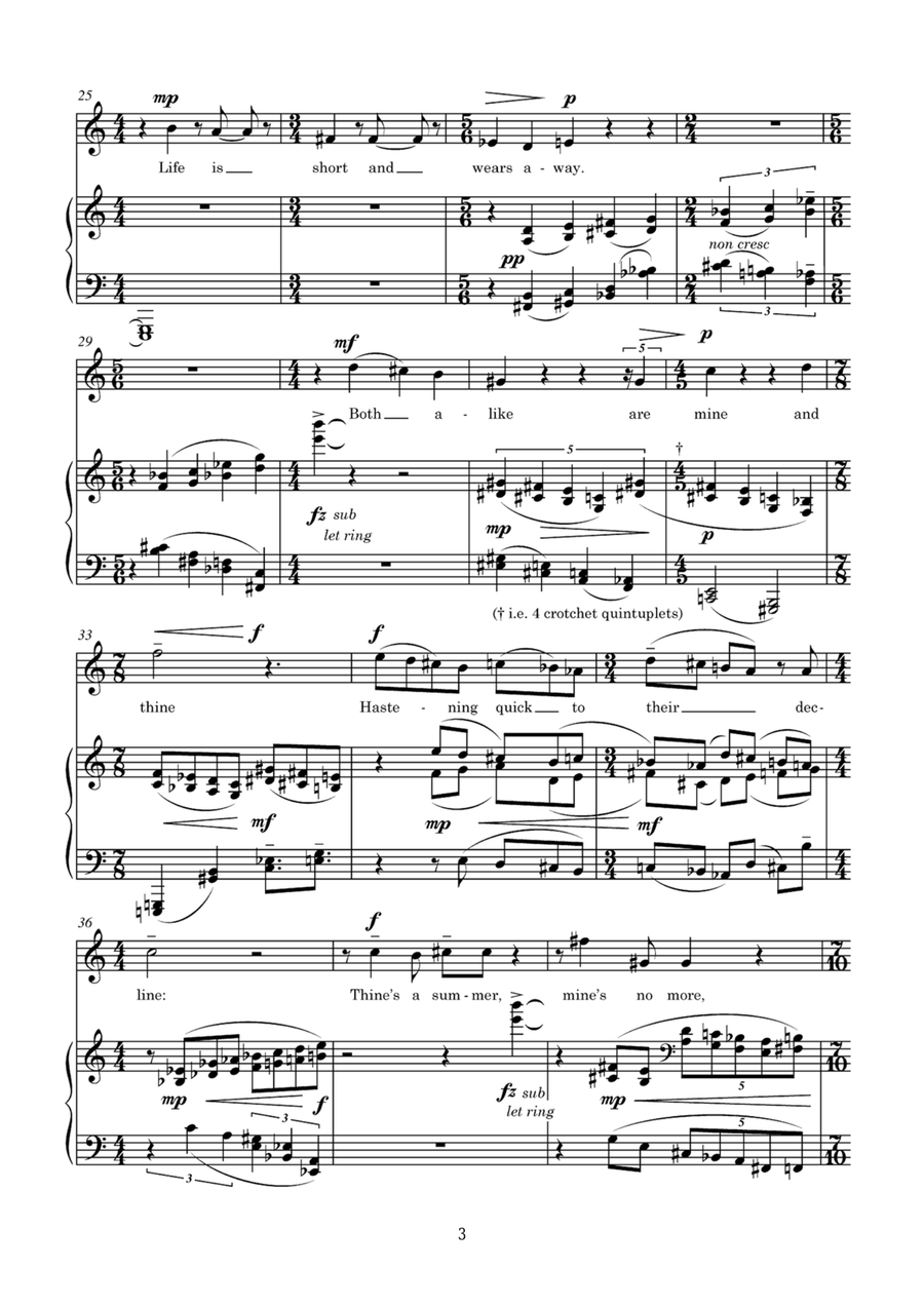 A curious thirsty fly (for tenor and piano) Piano, Vocal scores gallery preview page 3