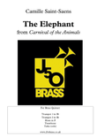 The Elephant from Carnival of the Animals
