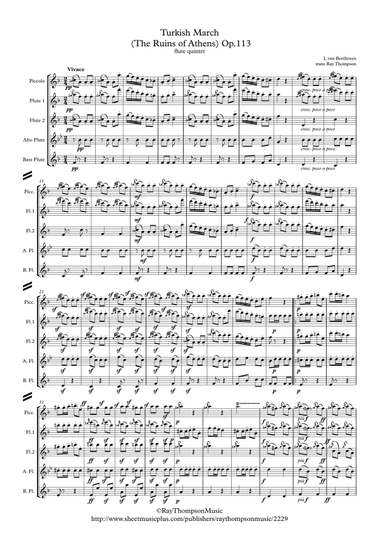 Beethoven: Turkish March (Ruins of Athens Op.113) - flute quintet