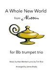 A Whole New World (from 'Aladdin')