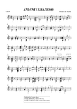 Andante Grazioso - Mozart