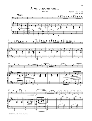 Allegro appassionato