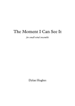 The Moment I Can See It