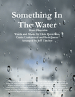 Something In The Water