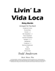 Livin' La Vida Loca