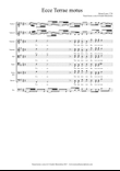 Michel Lami - Ecce terrae motus factus est magnus (1720)