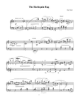 Harlequin Rag
