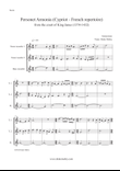 Personet Armonia (recorders)