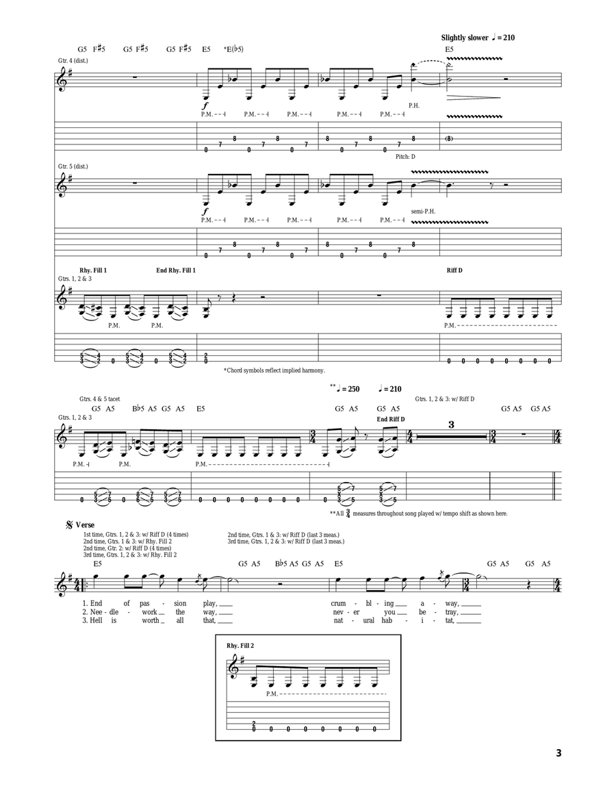 Master Of Puppets Acoustic Guitar scores gallery preview page 3