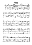 J.S. Bach, Badinerie from Suite #2 h-moll (BWV 1067)