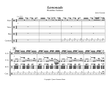 Lemonade- Drumline Cadence