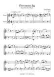Derrynane Jig - Flute Duet
