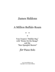 A Million Buffalo Roam (Piano Solo)