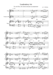 Londonderry Air - flute and clarinet duet