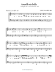 Amarilli mia bella (Low) D minor