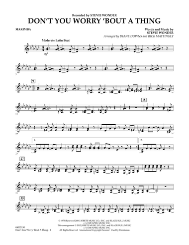 Don't You Worry 'Bout a Thing - Marimba