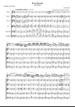 Hora Staccato for flute and String Orchestra